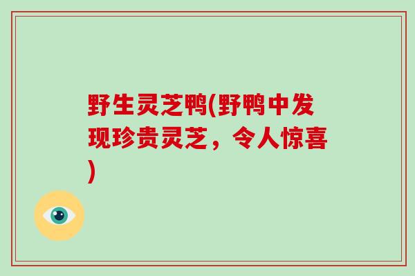 野生灵芝鸭(野鸭中发现珍贵灵芝，令人惊喜)