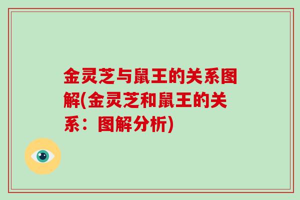 金灵芝与鼠王的关系图解(金灵芝和鼠王的关系：图解分析)