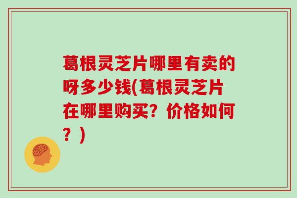 葛根灵芝片哪里有卖的呀多少钱(葛根灵芝片在哪里购买？价格如何？)