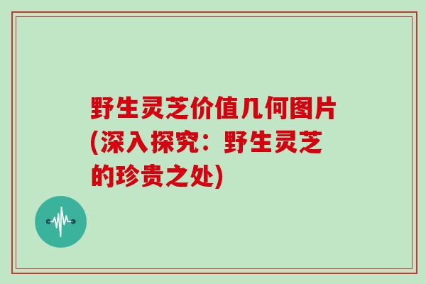 野生灵芝价值几何图片(深入探究：野生灵芝的珍贵之处)