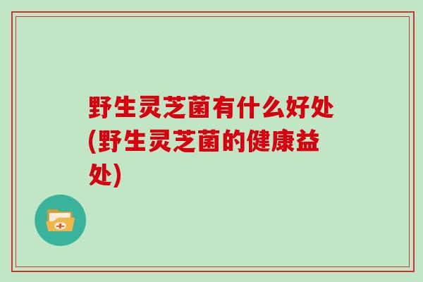 野生灵芝菌有什么好处(野生灵芝菌的健康益处)