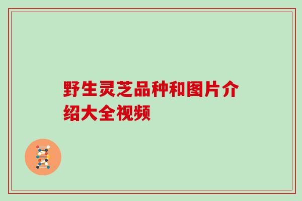 野生灵芝品种和图片介绍大全视频