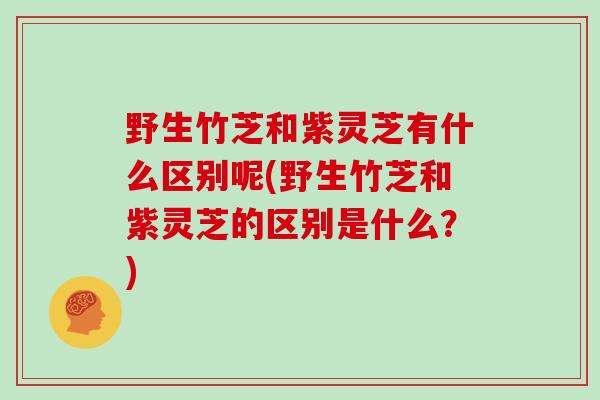 野生竹芝和紫灵芝有什么区别呢(野生竹芝和紫灵芝的区别是什么？)