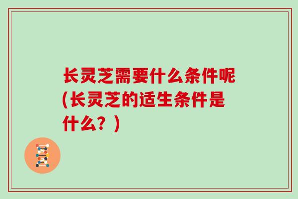 长灵芝需要什么条件呢(长灵芝的适生条件是什么？)