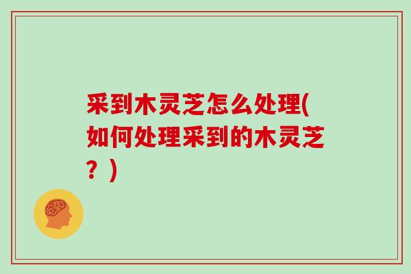 采到木灵芝怎么处理(如何处理采到的木灵芝？)