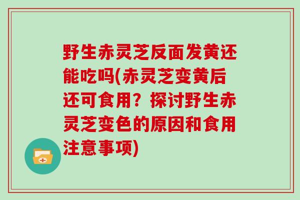 野生赤灵芝反面发黄还能吃吗(赤灵芝变黄后还可食用？探讨野生赤灵芝变色的原因和食用注意事项)
