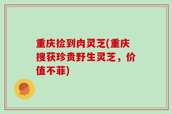 重庆捡到肉灵芝(重庆搜获珍贵野生灵芝，价值不菲)