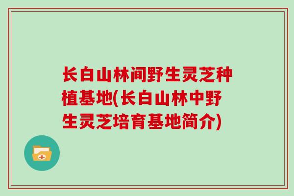 长白山林间野生灵芝种植基地(长白山林中野生灵芝培育基地简介)