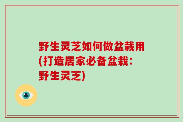 野生灵芝如何做盆栽用(打造居家必备盆栽：野生灵芝)