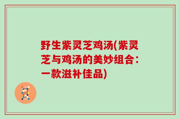 野生紫灵芝鸡汤(紫灵芝与鸡汤的美妙组合：一款滋补佳品)