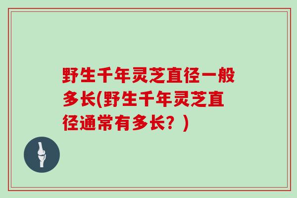 野生千年灵芝直径一般多长(野生千年灵芝直径通常有多长？)