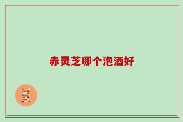 赤灵芝哪个泡酒好
