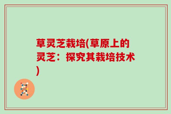 草灵芝栽培(草原上的灵芝：探究其栽培技术)
