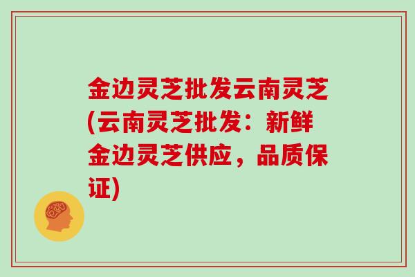 金边灵芝批发云南灵芝(云南灵芝批发：新鲜金边灵芝供应，品质保证)