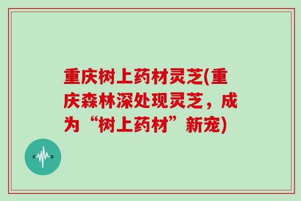 重庆树上药材灵芝(重庆森林深处现灵芝,成为“树上药材”新宠)-第1张图片-灵芝大师 重庆树上药材灵芝(重庆森林深处现灵芝,成为“树上药材”新宠)-第1张图片-灵芝大师