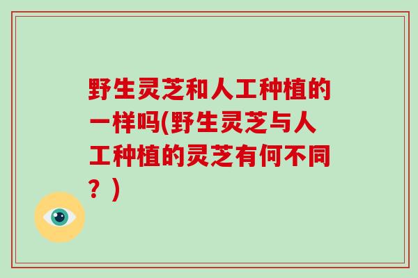 野生灵芝和人工种植的一样吗(野生灵芝与人工种植的灵芝有何不同?)-第1张图片-灵芝大师 野生灵芝和人工种植的一样吗(野生灵芝与人工种植的灵芝有何不同?)-第1张图片-灵芝大师