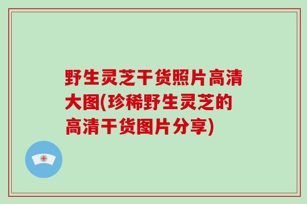 野生灵芝干货照片高清大图(珍稀野生灵芝的高清干货图片分享)