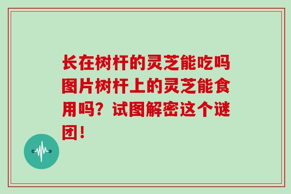 长在树杆的灵芝能吃吗图片树杆上的灵芝能食用吗?试图解密这个谜团!-第1张图片-灵芝大师 长在树杆的灵芝能吃吗图片树杆上的灵芝能食用吗?试图解密这个谜团!-第1张图片-灵芝大师