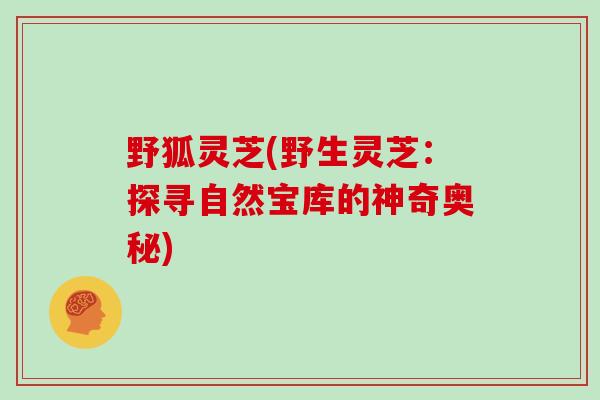 野狐灵芝(野生灵芝:探寻自然宝库的神奇奥秘)-第1张图片-灵芝大师 野狐灵芝(野生灵芝:探寻自然宝库的神奇奥秘)-第1张图片-灵芝大师