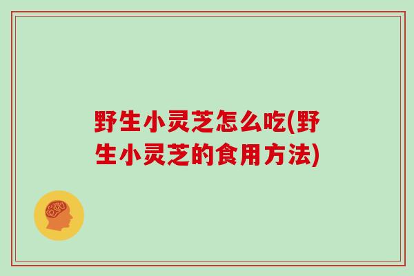 野生小灵芝怎么吃(野生小灵芝的食用方法)
