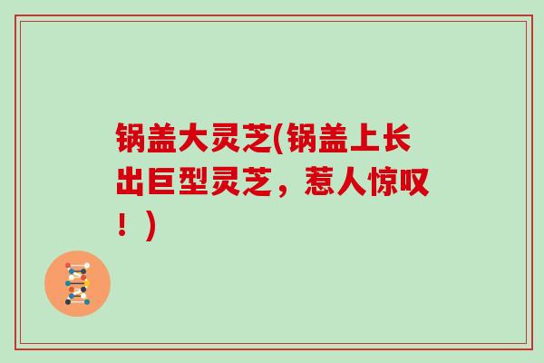 锅盖大灵芝(锅盖上长出巨型灵芝，惹人惊叹！)