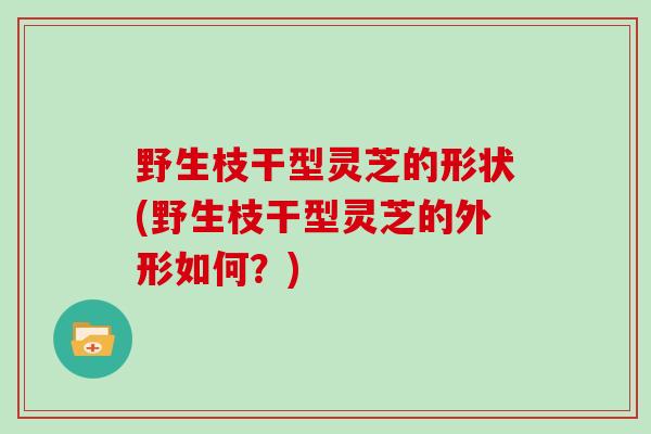 野生枝干型灵芝的形状(野生枝干型灵芝的外形如何？)
