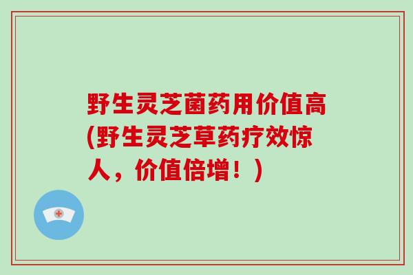 野生灵芝菌药用价值高(野生灵芝草药疗效惊人，价值倍增！)