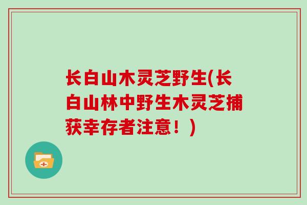 长白山木灵芝野生(长白山林中野生木灵芝捕获幸存者注意！)