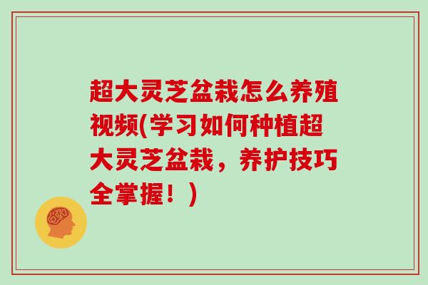 超大灵芝盆栽怎么养殖视频(学习如何种植超大灵芝盆栽,养护技巧全掌握!)-第1张图片-灵芝大师 超大灵芝盆栽怎么养殖视频(学习如何种植超大灵芝盆栽,养护技巧全掌握!)-第1张图片-灵芝大师