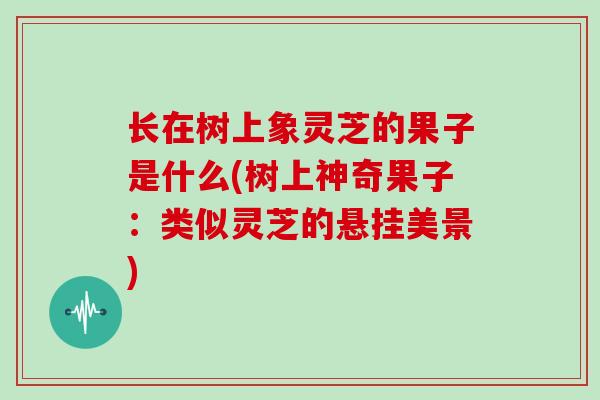 长在树上象灵芝的果子是什么(树上神奇果子:类似灵芝的悬挂美景)-第1张图片-灵芝大师 长在树上象灵芝的果子是什么(树上神奇果子:类似灵芝的悬挂美景)-第1张图片-灵芝大师