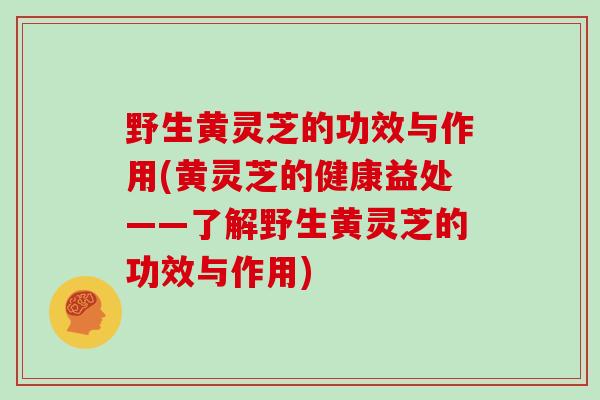 野生黄灵芝的功效与作用(黄灵芝的健康益处——了解野生黄灵芝的功效与作用)