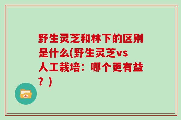 野生灵芝和林下的区别是什么(野生灵芝vs人工栽培：哪个更有益？)
