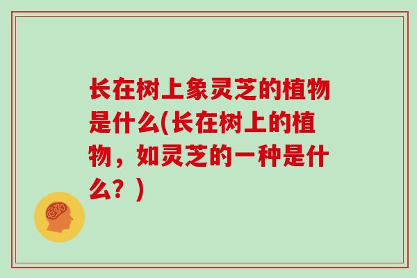 长在树上象灵芝的植物是什么(长在树上的植物，如灵芝的一种是什么？)