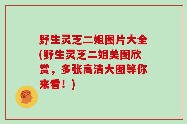 野生灵芝二姐图片大全(野生灵芝二姐美图欣赏，多张高清大图等你来看！)