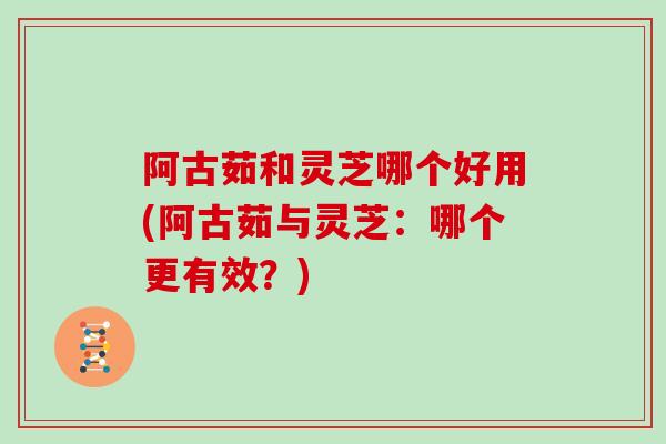 阿古茹和灵芝哪个好用(阿古茹与灵芝：哪个更有效？)