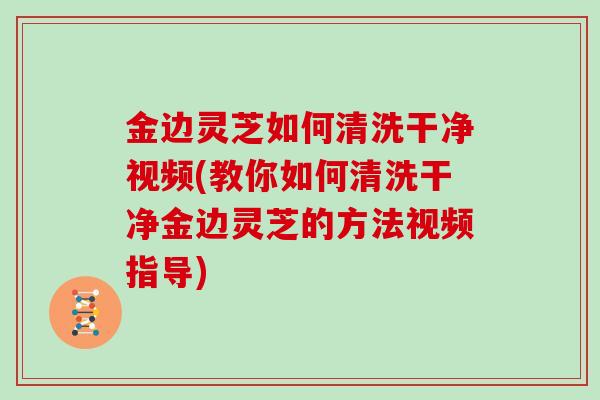 金边灵芝如何清洗干净视频(教你如何清洗干净金边灵芝的方法视频指导)