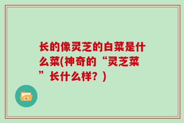 长的像灵芝的白菜是什么菜(神奇的“灵芝菜”长什么样？)