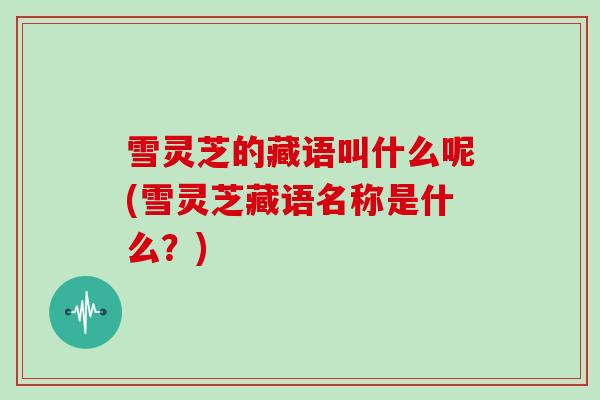 雪灵芝的藏语叫什么呢(雪灵芝藏语名称是什么？)
