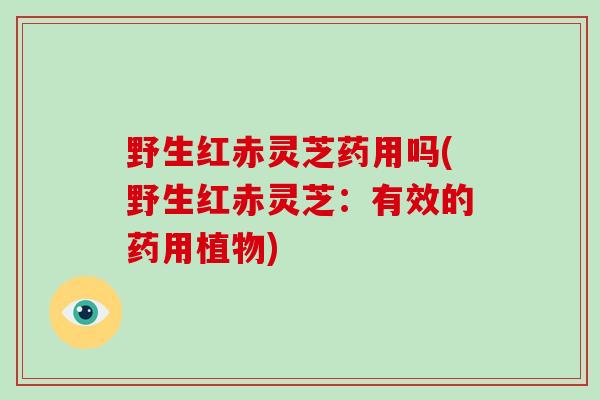 野生红赤灵芝药用吗(野生红赤灵芝：有效的药用植物)