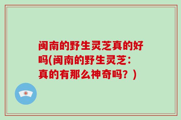 闽南的野生灵芝真的好吗(闽南的野生灵芝：真的有那么神奇吗？)