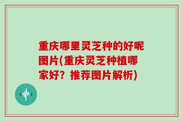 重庆哪里灵芝种的好呢图片(重庆灵芝种植哪家好？推荐图片解析)