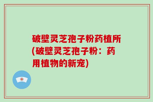 破壁灵芝孢子粉药植所(破壁灵芝孢子粉：药用植物的新宠)