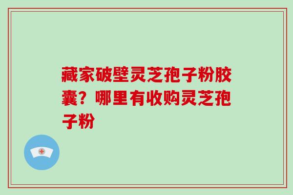 藏家破壁灵芝孢子粉胶囊？哪里有收购灵芝孢子粉