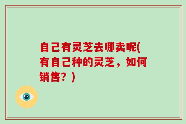 自己有灵芝去哪卖呢(有自己种的灵芝,如何销售?)-第1张图片-灵芝大师 自己有灵芝去哪卖呢(有自己种的灵芝,如何销售?)-第1张图片-灵芝大师