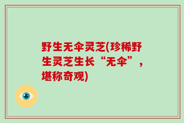 野生无伞灵芝(珍稀野生灵芝生长“无伞”，堪称奇观)