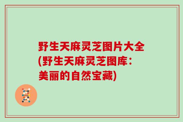 野生天麻灵芝图片大全(野生天麻灵芝图库：美丽的自然宝藏)