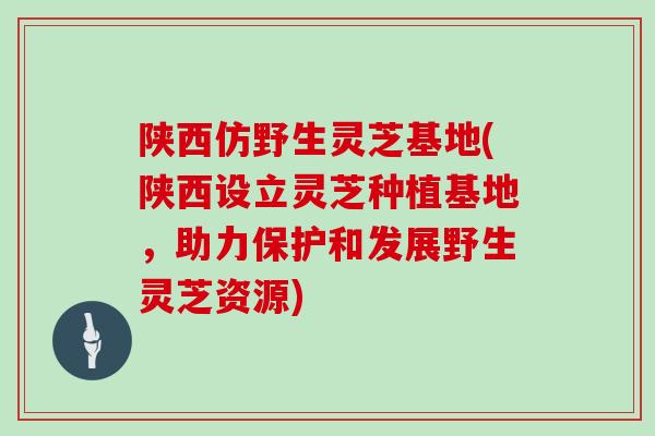 陕西仿野生灵芝基地(陕西设立灵芝种植基地，助力保护和发展野生灵芝资源)