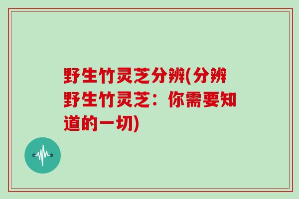 野生竹灵芝分辨(分辨野生竹灵芝：你需要知道的一切)