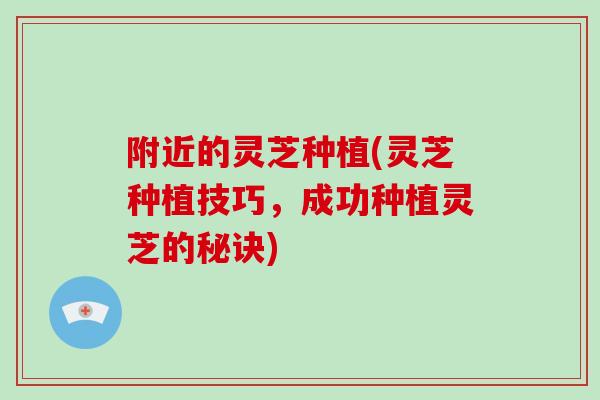 附近的灵芝种植(灵芝种植技巧，成功种植灵芝的秘诀)-第1张图片-灵芝大师