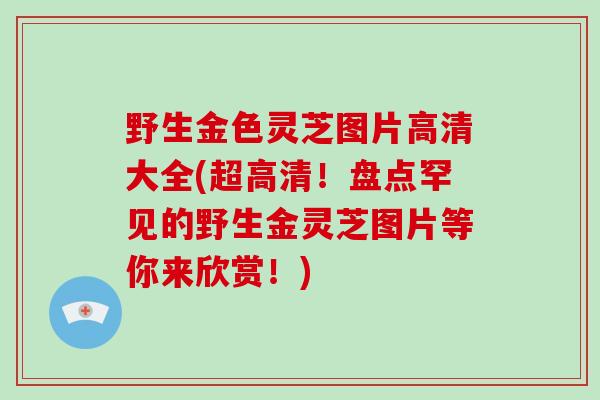 野生金色灵芝图片高清大全(超高清！盘点罕见的野生金灵芝图片等你来欣赏！)